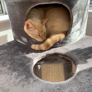 Meet your Posher, Billy